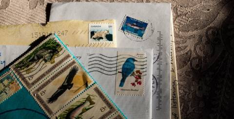 How many stamps do I need to send a letter or package? How many stamps do I need to send a letter or package?